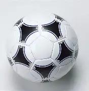 上海体彩助,力青少年体,育推广,滚球购买平台,滚球平台官方网站,滚球平台,(集团)官方网站,十大滚球购买平台