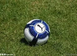 滚球平台,集团,官方网站,滚球购买平台,滚球平台官方网站,滚球平台,(集团)官方网站,十大滚球购买平台