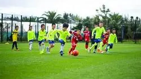 滚球平台 (集团)官方网站 资讯 095517 r2c