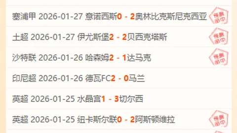 2025年世界杯瑞士队阵容正式公布